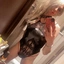 AngelinaMsk