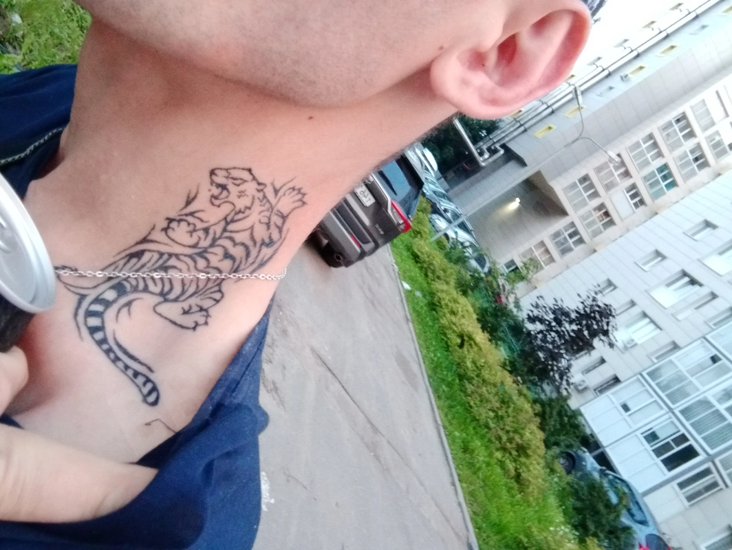 Nikolas4239495