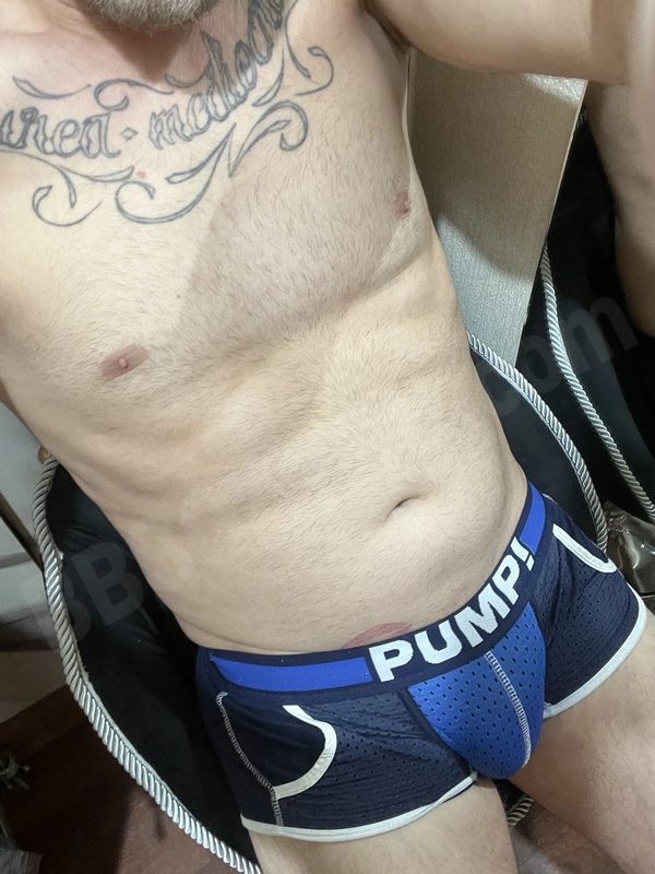 Dominantim3427939