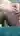 Sonyass