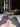 Antoha2226
