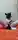 Yiff
