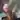 ActiveGay1234