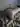 Paraswing2691