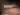 Face19