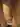 AlexseyF