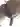 DmtrVjsl8