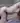 Cumsluts