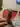 Alexss5599